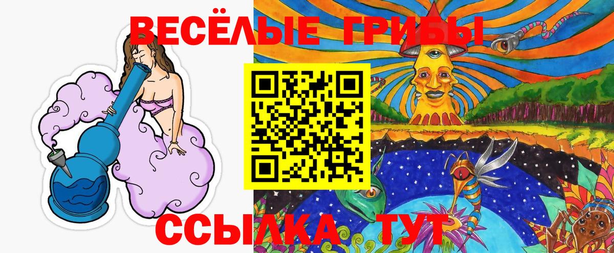 Псилоцибиновые грибы Magic Shrooms  хочу   Вход с VPN  Северобайкальск  Галлюциногенные грибы прущие грибы 